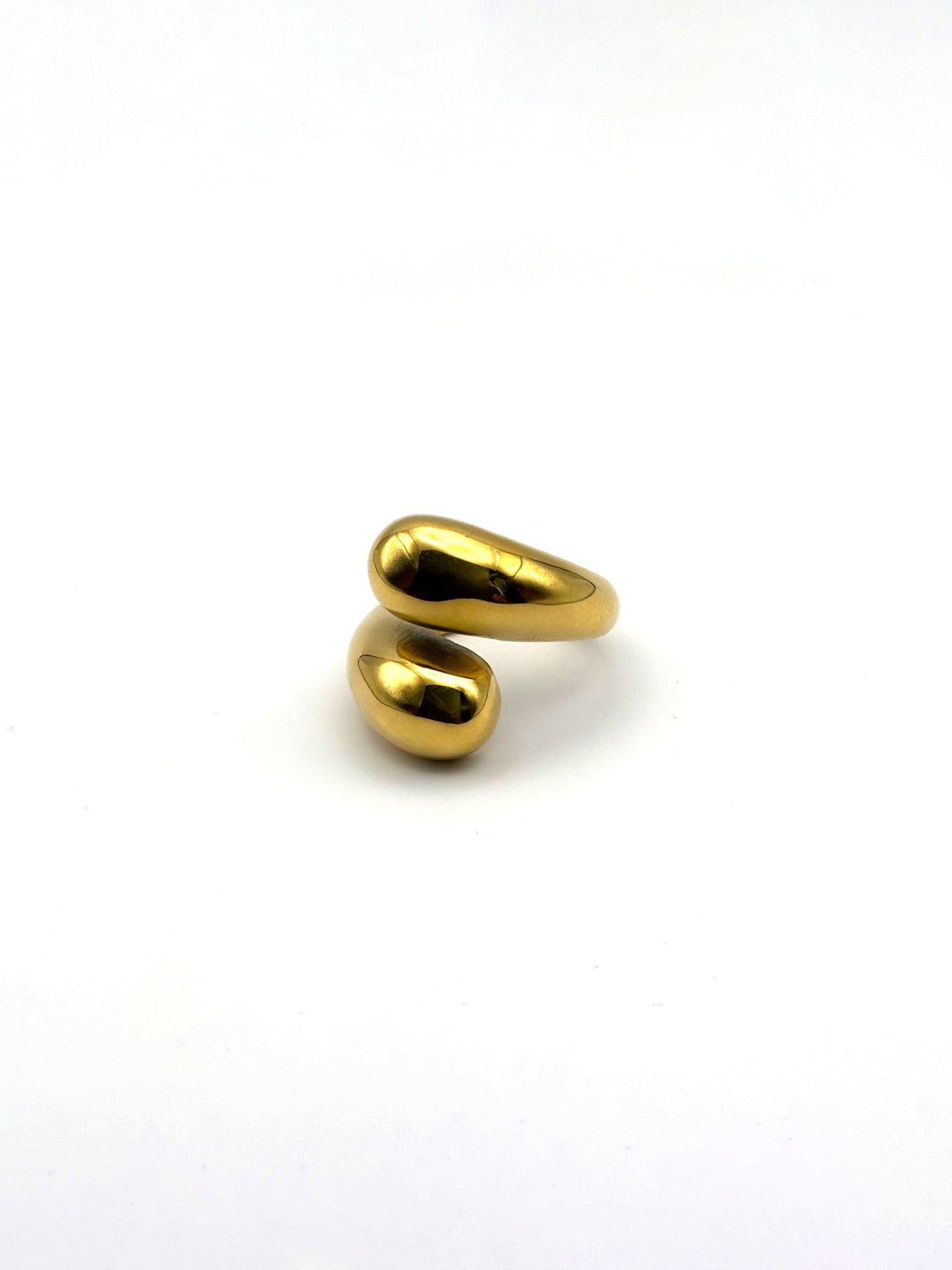 Ring Snake