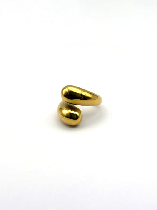Ring Snake