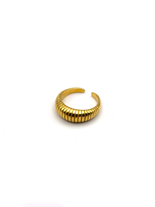 Ring Shell